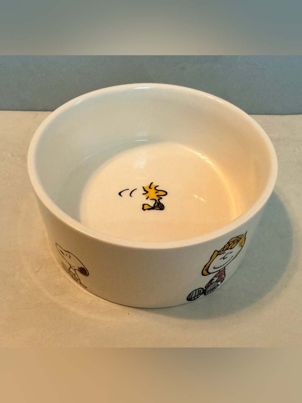 Peanuts Snoopy & The Gang SNACK TIME 6" Stoneware Pet Bowl NWT